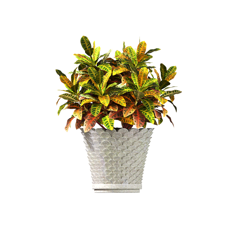 Decor items